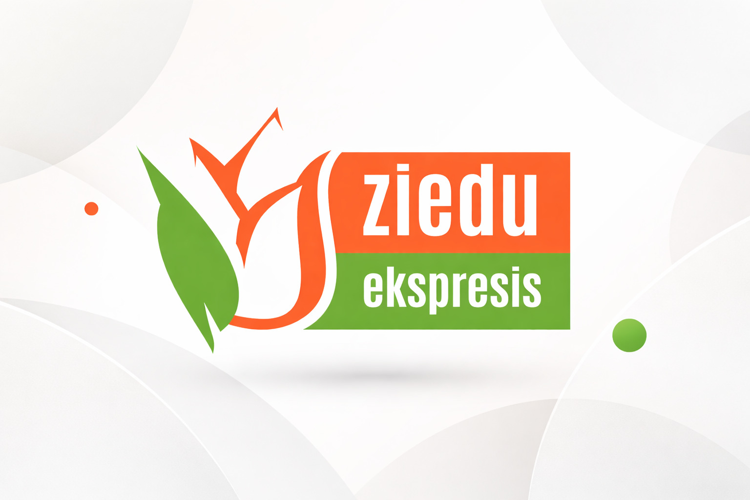 Ziedu Ekspresis, SEO un atslēgvārdu projekts